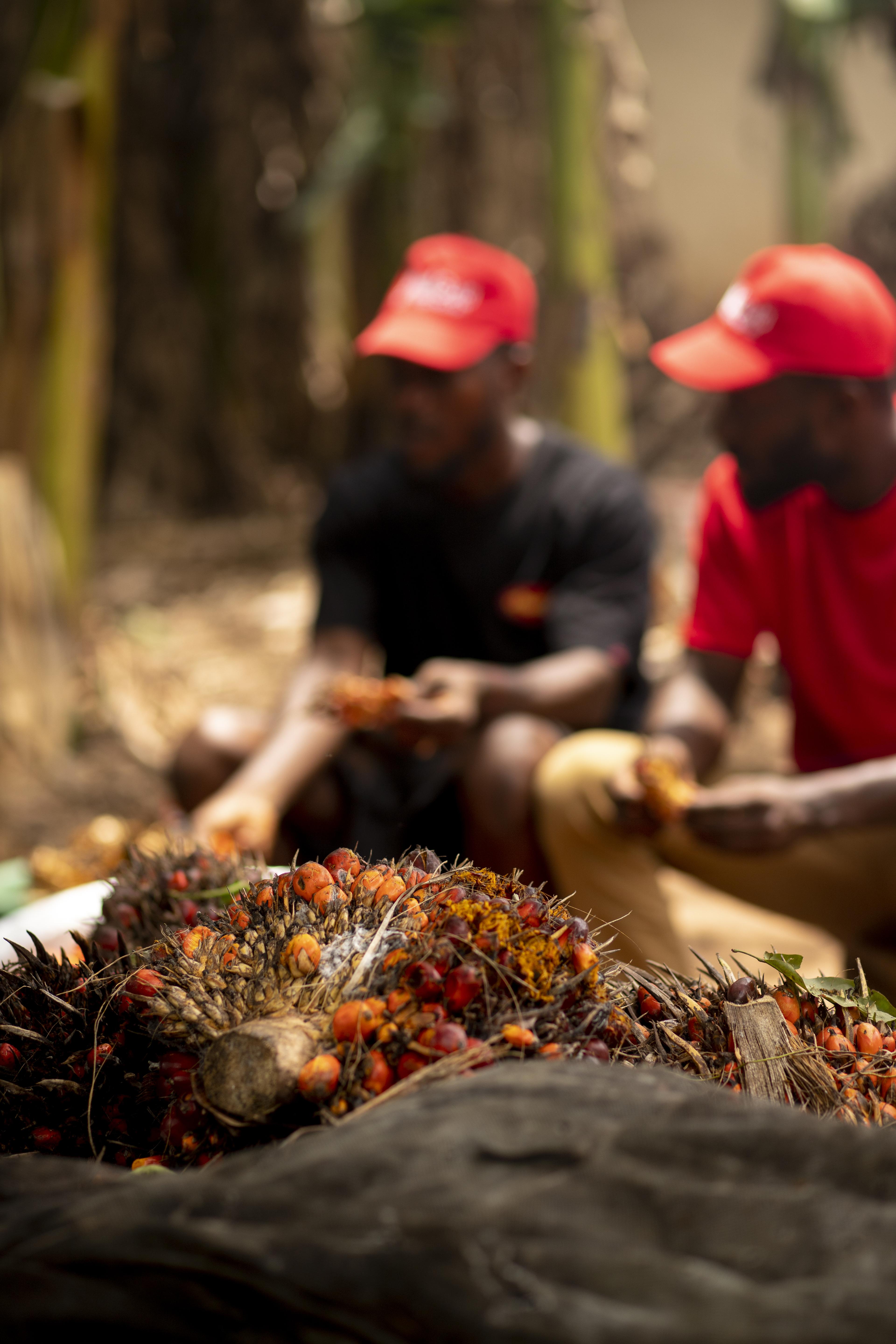 Fresh Palm Oil